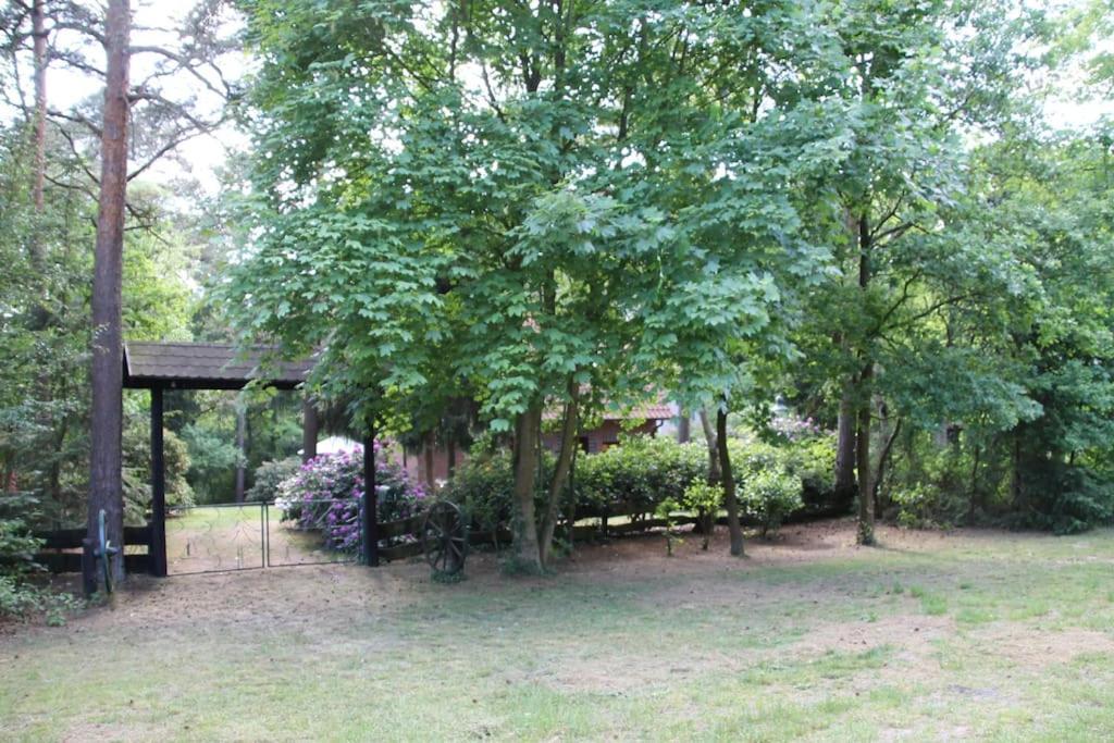 Ferienhaus Am Waldesrand Hatten Eksteriør billede